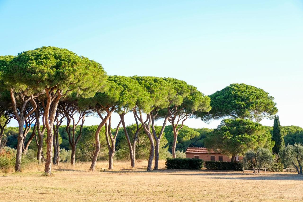 Residence La Canova II Marina di Grosseto Exterior photo
