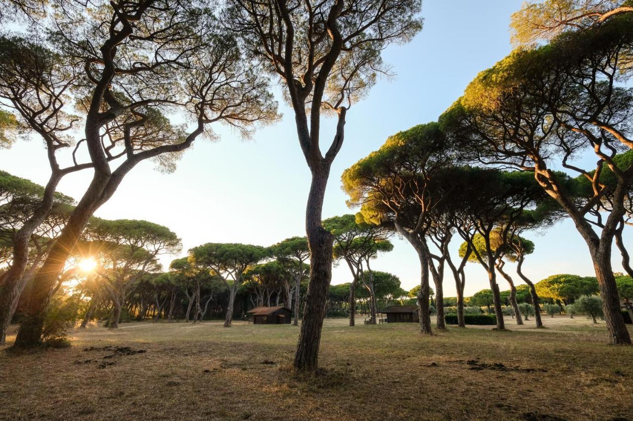 Residence La Canova II Marina di Grosseto Exterior photo
